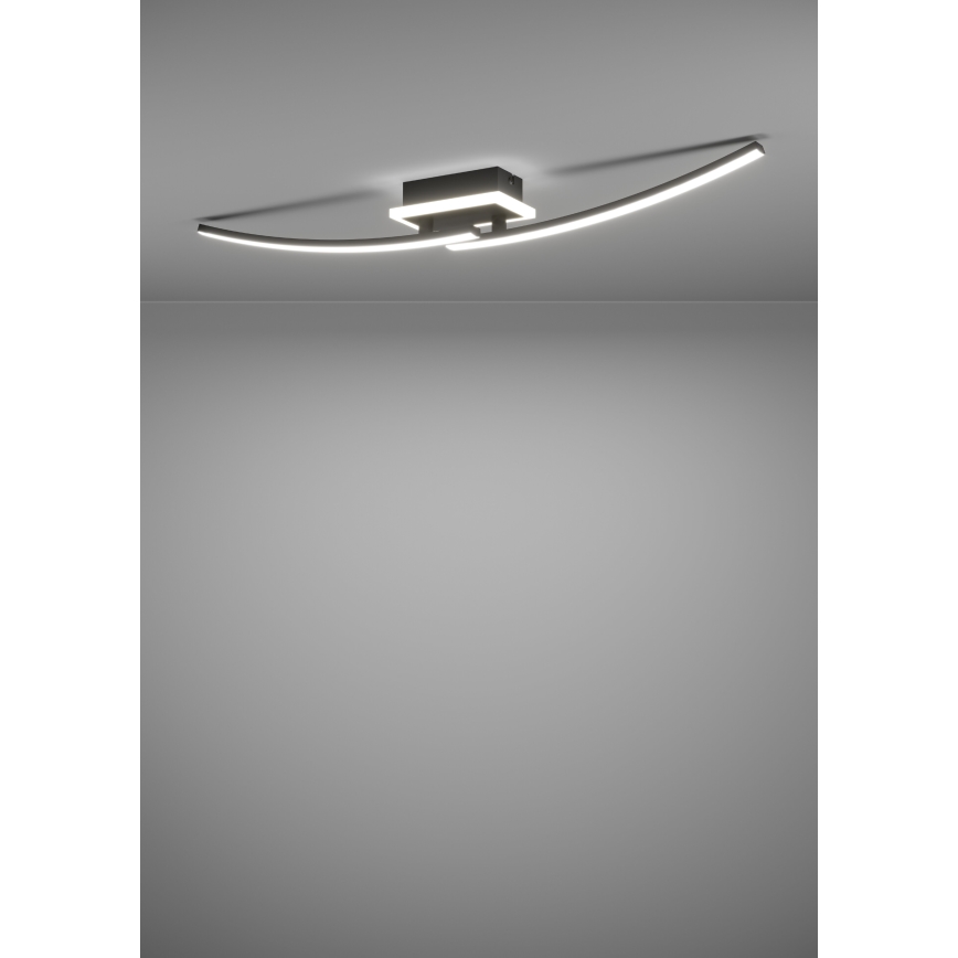 Eglo - LED plafonsko svetlo LED/12W/230V 4000K crna