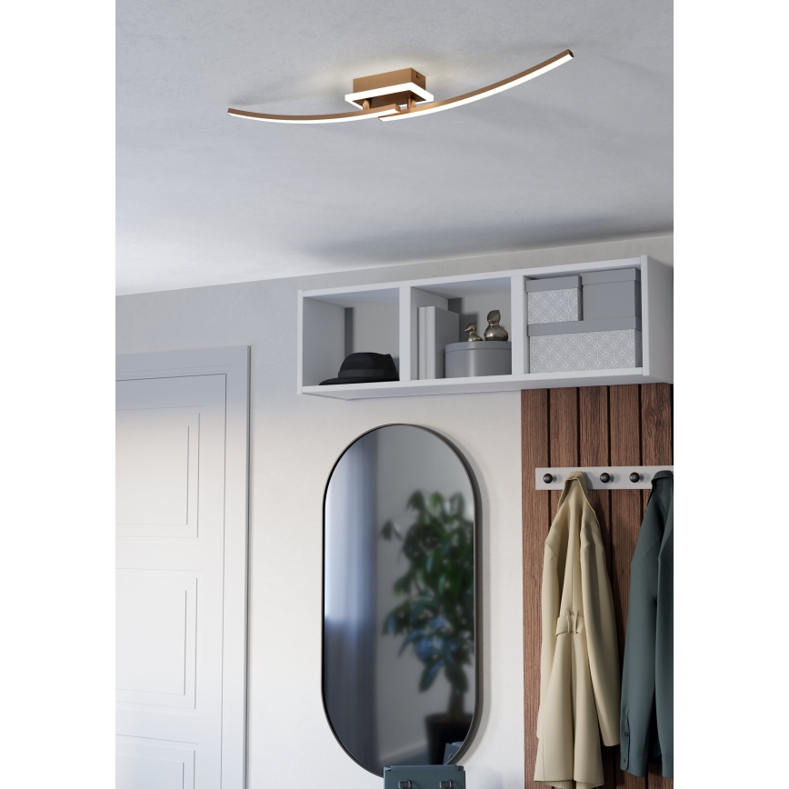 Eglo - LED stropna svetiljka LED/12W/230V 4000K bakrena