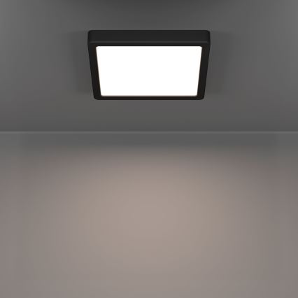 Eglo - LED plafonsko svetlo LED/10,5W/230V 2700/4000/6500K 22x22cm crna