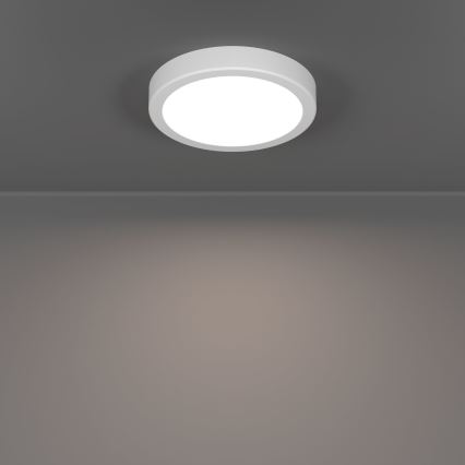 Eglo - LED stropno svetlo LED/7,5W/230V 2700/4000/6500K prečnik 16,6 cm belo