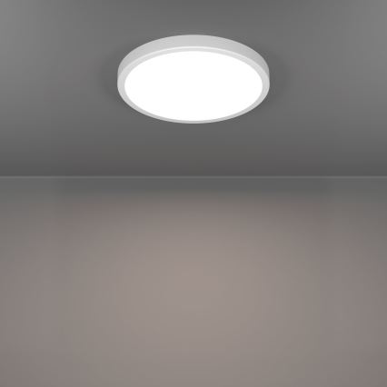 Eglo - LED plafonsko svetlo LED/14,2W/230V 2700/4000/6500K, prečnik 27,8 cm, bela boja