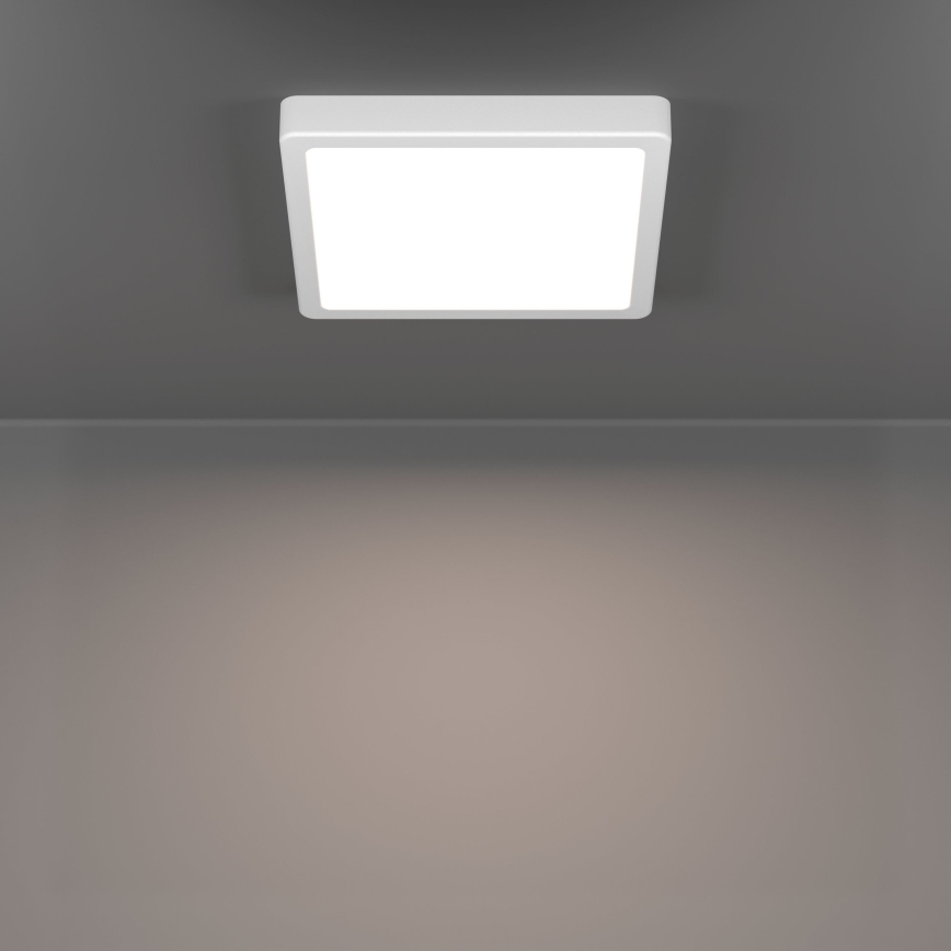 Eglo - LED plafonsko svetlo za kupatilo LED/10,5W/230V 2700/4000/6500K 22x22 cm IP44 belo