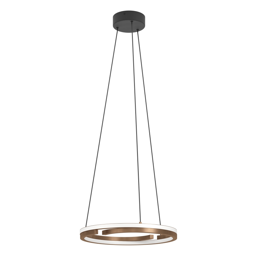 Eglo - LED prigušiva luster na sajli 2xLED/20W/230V 2700-6500K Ø 48 cm bronzan + daljinsko upravljanje