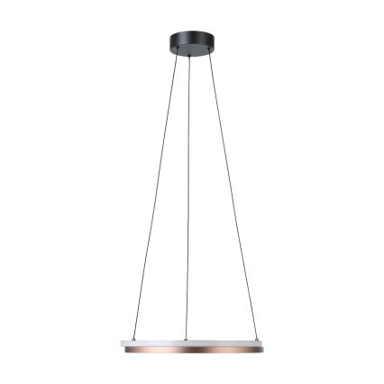 Eglo - LED prigušiva luster na sajli 2xLED/20W/230V 2700-6500K Ø 48 cm bronzan + daljinsko upravljanje