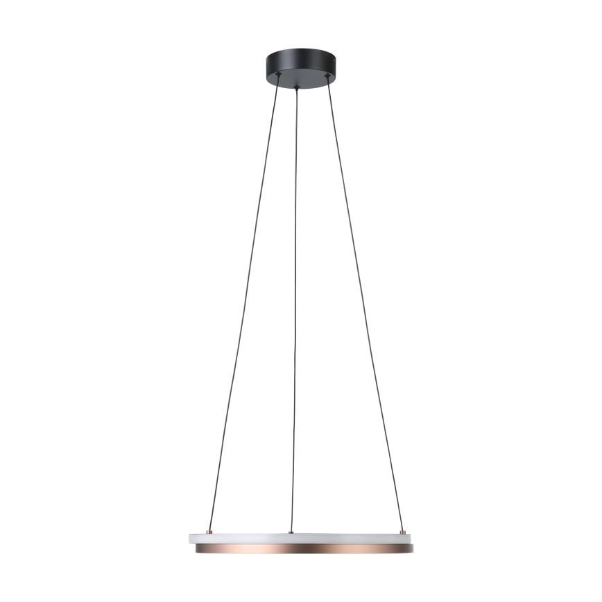 Eglo - LED prigušiva luster na sajli 2xLED/20W/230V 2700-6500K Ø 48 cm bronzan + daljinsko upravljanje