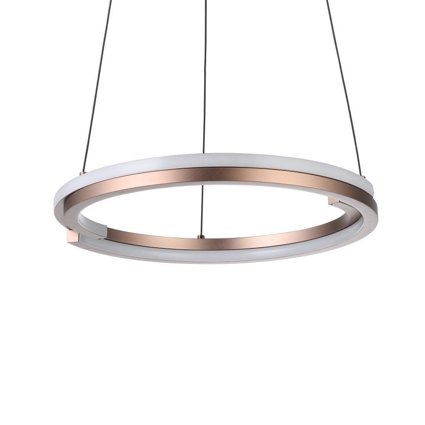 Eglo - LED prigušiva luster na sajli 2xLED/20W/230V 2700-6500K Ø 48 cm bronzan + daljinsko upravljanje