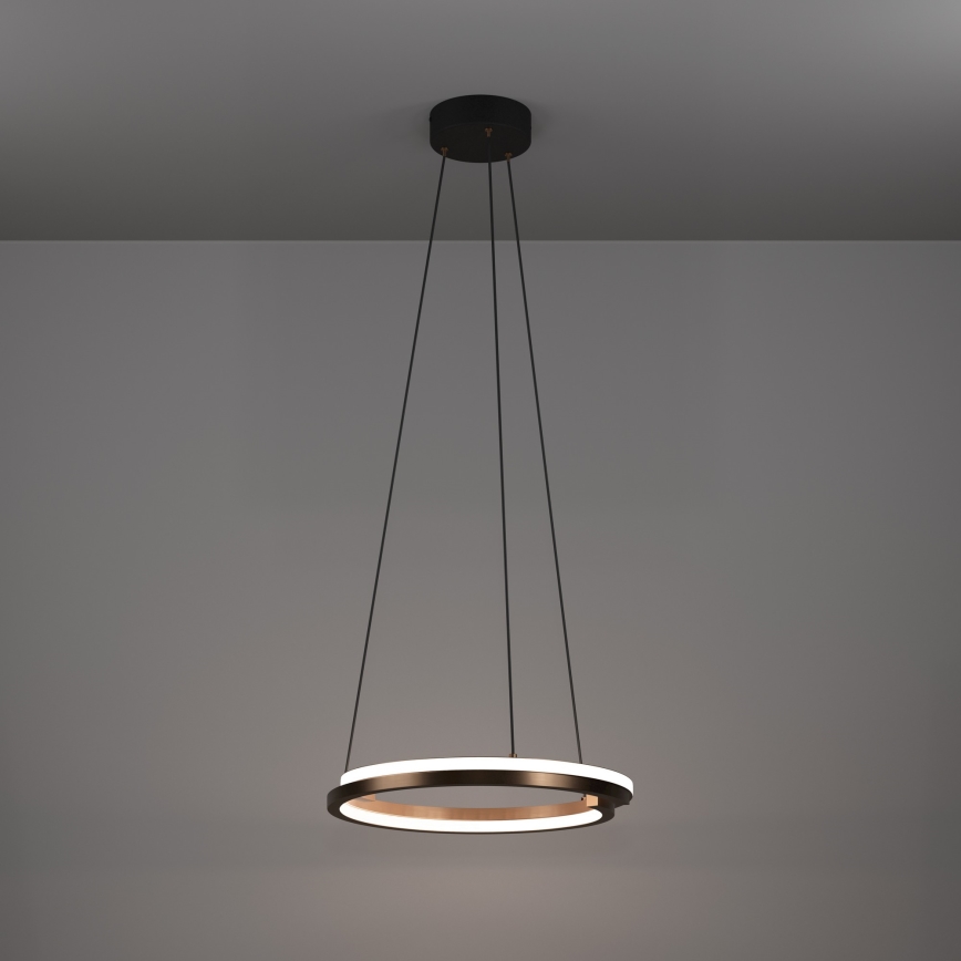 Eglo - LED prigušiva luster na sajli 2xLED/20W/230V 2700-6500K Ø 48 cm bronzan + daljinsko upravljanje