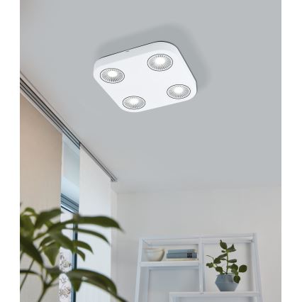 Eglo 94178 - LED spot svetlo MONTALE 4xLED/5,4W/230V