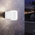 Eglo 95077 - Spoljašnja zidna svetiljka BRIONES 2xLED/3W/230V IP44