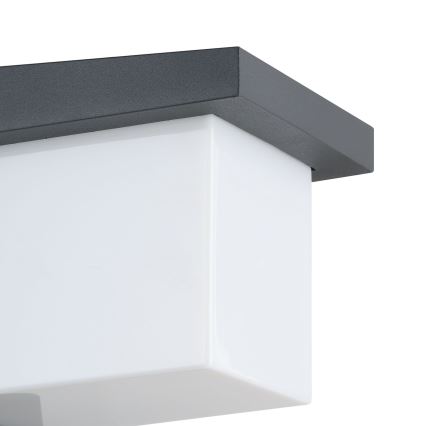 Eglo - Spoljna zidna LED svetiljka/10W/230V IP54