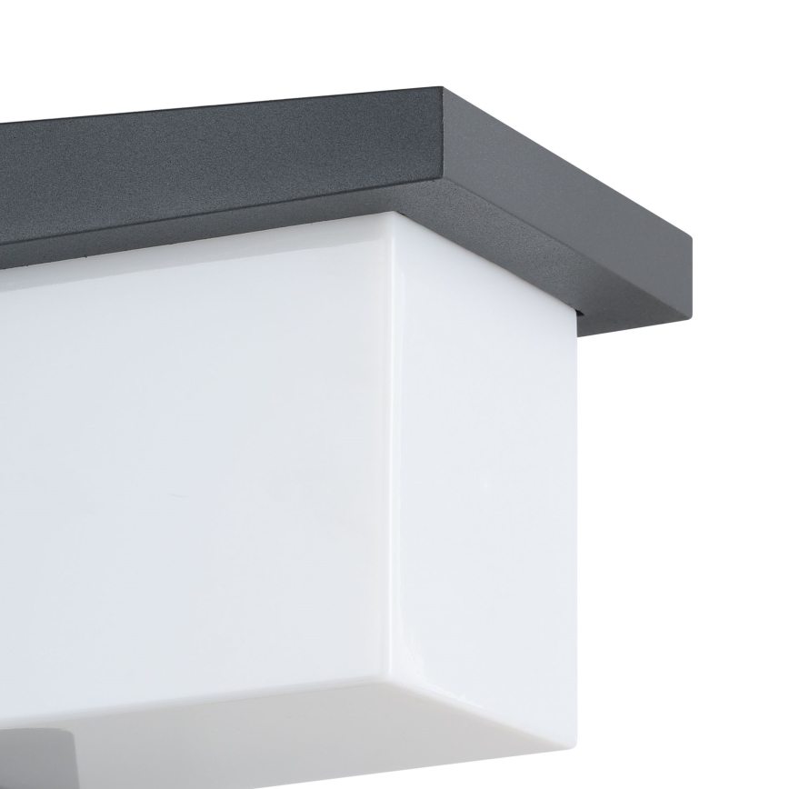Eglo - Spoljna zidna LED svetiljka/10W/230V IP54