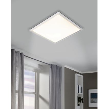 Eglo - LED plafonsko svetlo LED/24W/230V