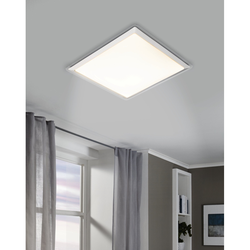 Eglo - LED plafonsko svetlo LED/24W/230V