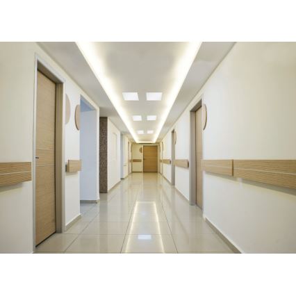 Eglo - LED plafonski panel LED/16W/230V