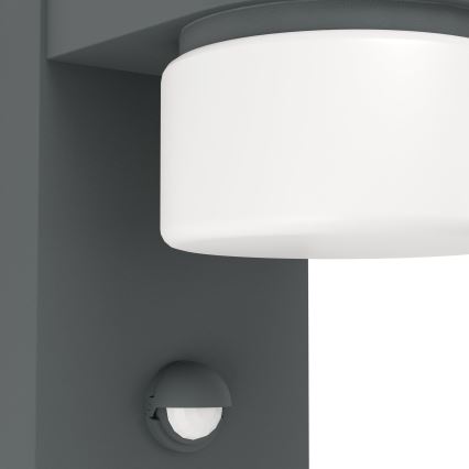 Eglo - LED spoljno zidno svetlo sa senzorom 2xLED/6W IP44