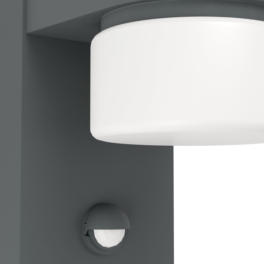 Eglo - LED spoljno zidno svetlo sa senzorom 2xLED/6W IP44