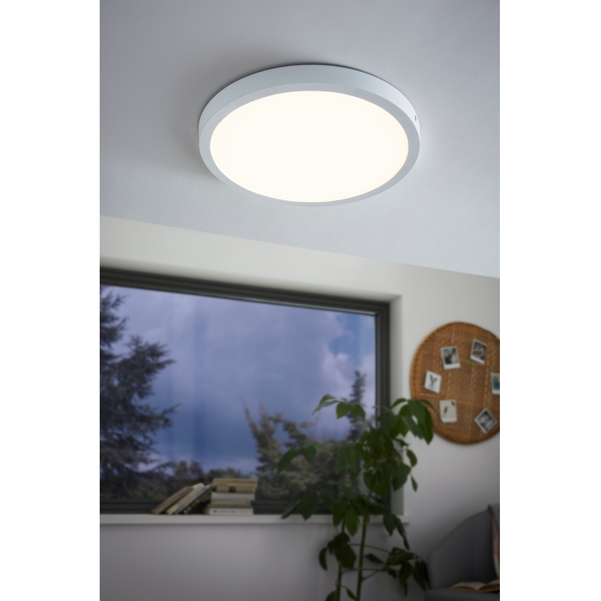 Eglo - LED plafonsko svetlo LED/25W/230V, belo, okruglo, 2500 lm, prečnik 40 cm