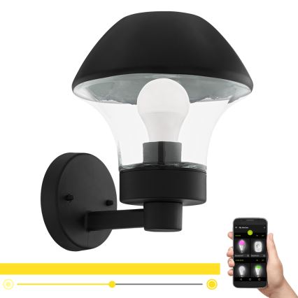 Eglo 97446 - LED prigušiva spoljašnja zidna svetiljka VERLUCCA-C 1xE27/9W/230V IP44 Bluetooth