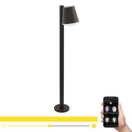 Eglo - LED prigušiva spoljašnja lampa CALDIERO-C 1xE27/9W/230V antracit IP44
