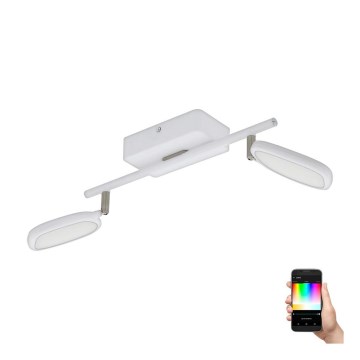 Eglo 97692 - LED RGB ugradna spot svetiljka PALOMBARE-C 2xLED/5W/230V