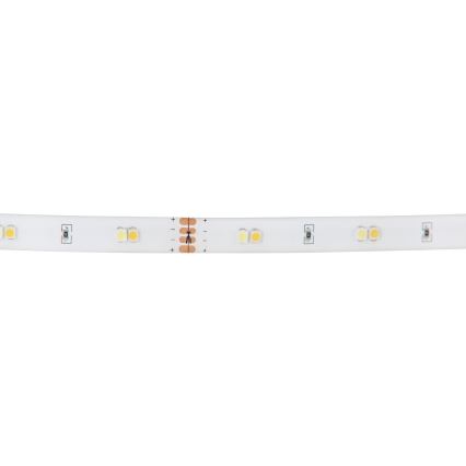 Eglo - RGB LED prigušiva traka LED/10W/230V IP20 2m
