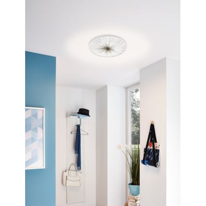 Eglo - LED stropno svetlo LED/30,8W/230V