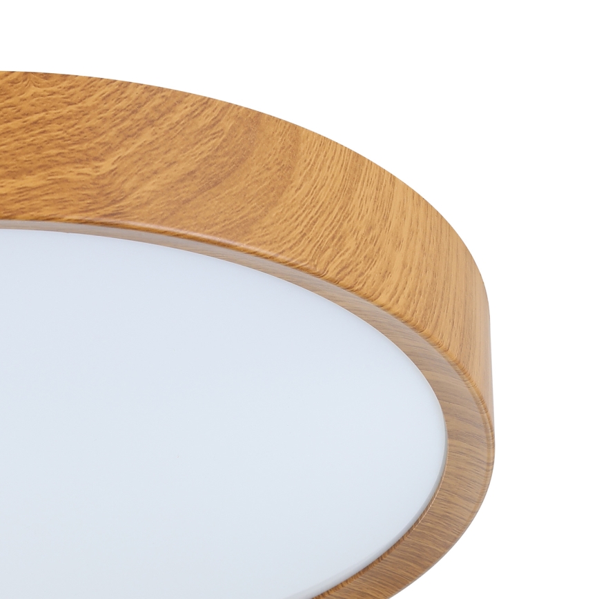 Eglo - LED plafonsko svetlo LED/14,6W/230V