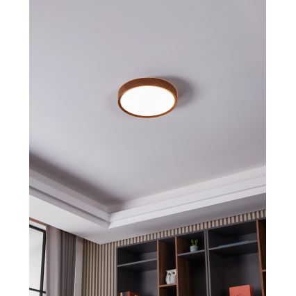 Eglo - LED plafonsko svetlo LED/14,6W/230V