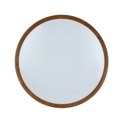 Eglo - LED plafonsko svetlo LED/33,5W/230V