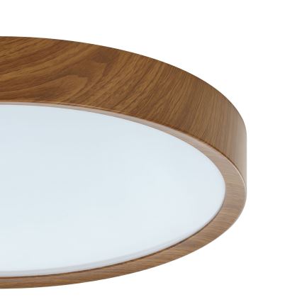 Eglo - LED plafonsko svetlo LED/33,5W/230V