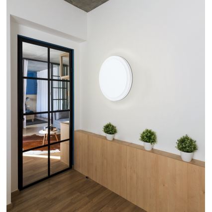 Eglo - LED plafonsko svetlo LED/8,6W/230V