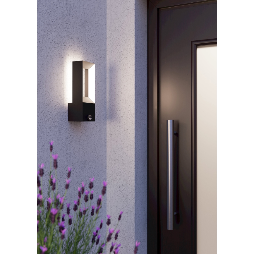 Eglo - LED spoljašnje svetlo sa senzorom 2xLED/5W/230V IP44