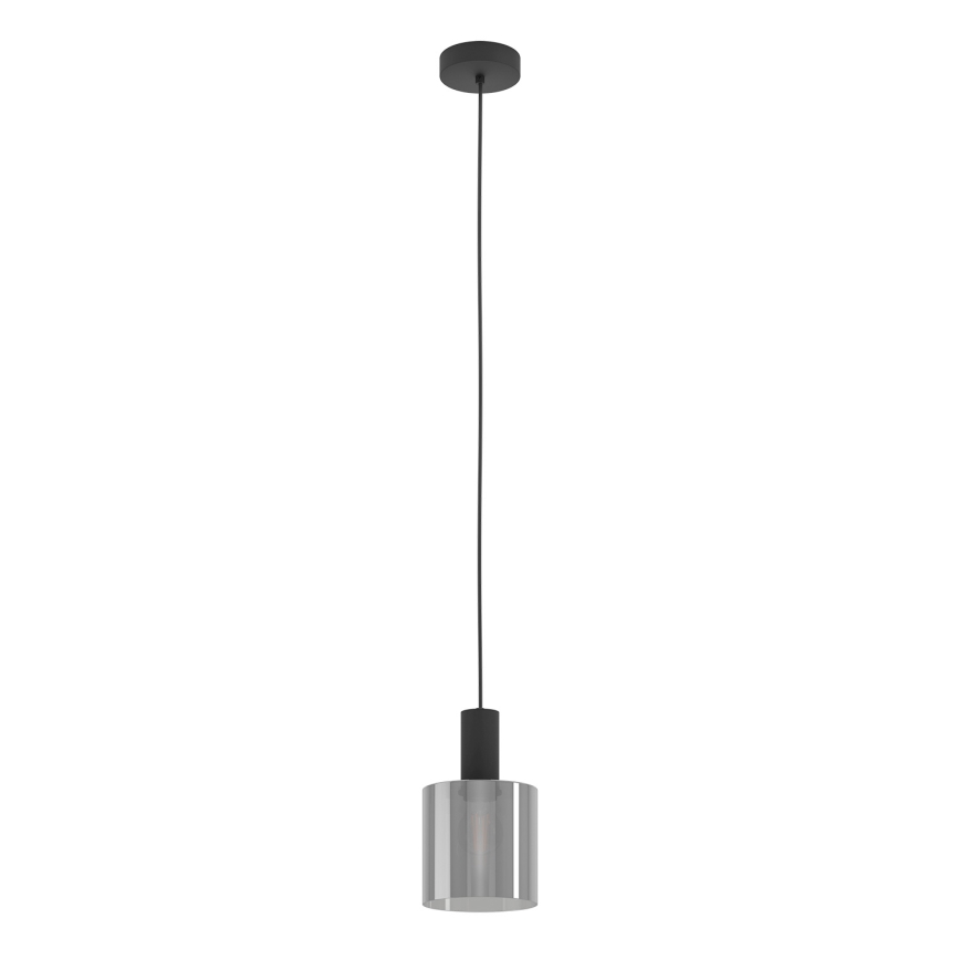 Eglo - Viseći luster na sajli 1xE27/40W/230V