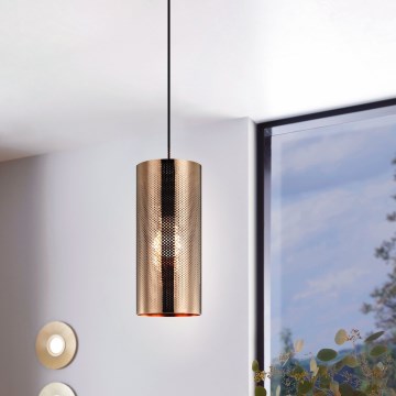 Eglo 99016 - Luster na kablu TABIAGO 1xE27/40W/230V