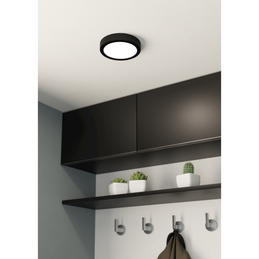 Eglo - LED plafonsko svetlo LED/10,5W/230V prečnika 16 cm