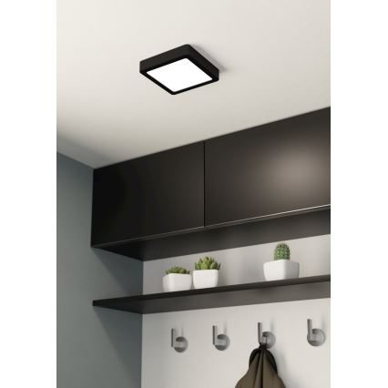 Eglo - LED plafonsko svetlo LED/10,5W/230V 16x16 cm