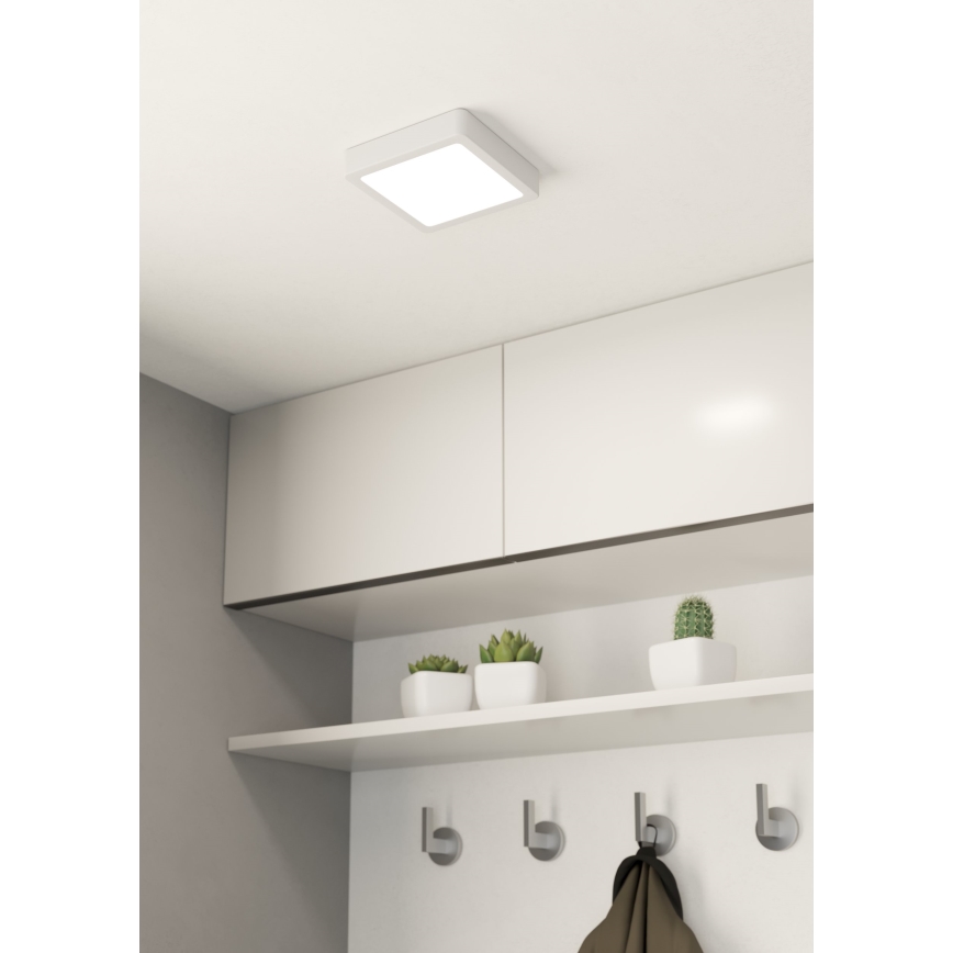Eglo - LED plafonsko svetlo LED/10,5W/230V 16x16 cm