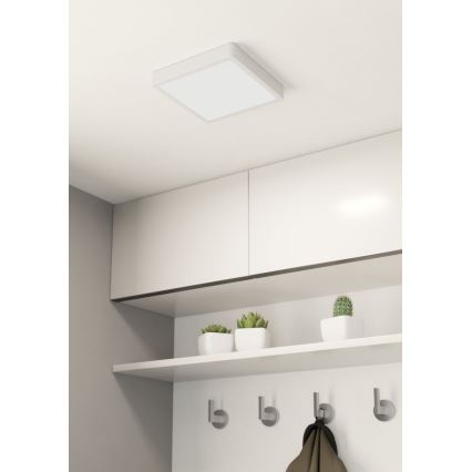 Eglo - LED plafonsko svetlo LED/16,5W/230V 21x21 cm
