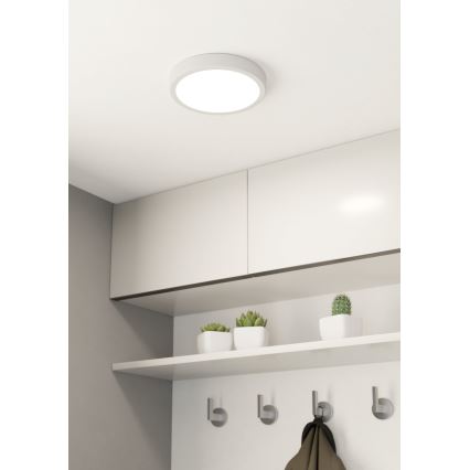 Eglo - LED prigušiva stropna svetiljka LED/16,5W/230V prečnik 21 cm