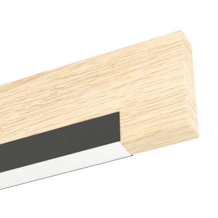 Eglo - LED zidna svetiljka LED/9,6W/230V