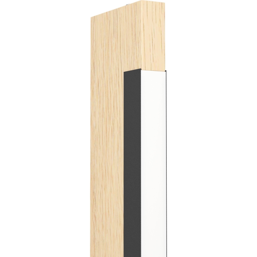Eglo 99295 - prigušiva LED stona lampa CAMACHO LED/6,5W/230V
