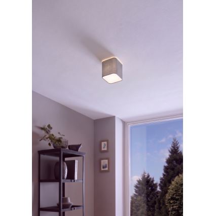 Eglo 99304 - Plafonsko svetlo POSADERRA 1xE27/28W/230V