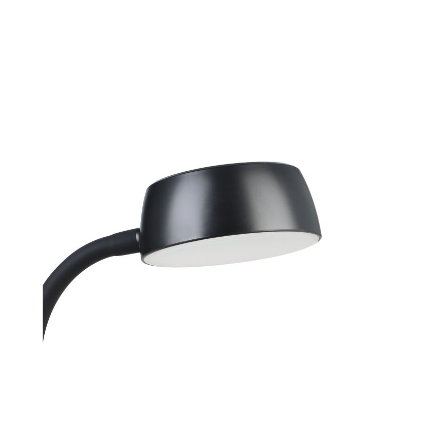 Eglo - LED stona lampa LED/4,5W/230V