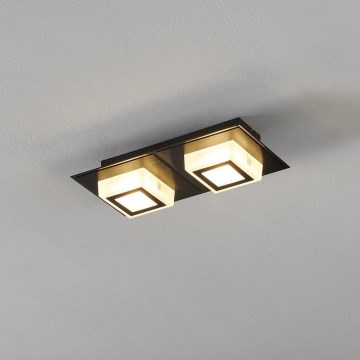 Eglo 99362 - LED plafonsko svetlo MASIANO 2xLED/3,3W/230V