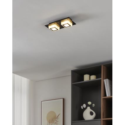 Eglo 99362 - LED plafonsko svetlo MASIANO 2xLED/3,3W/230V