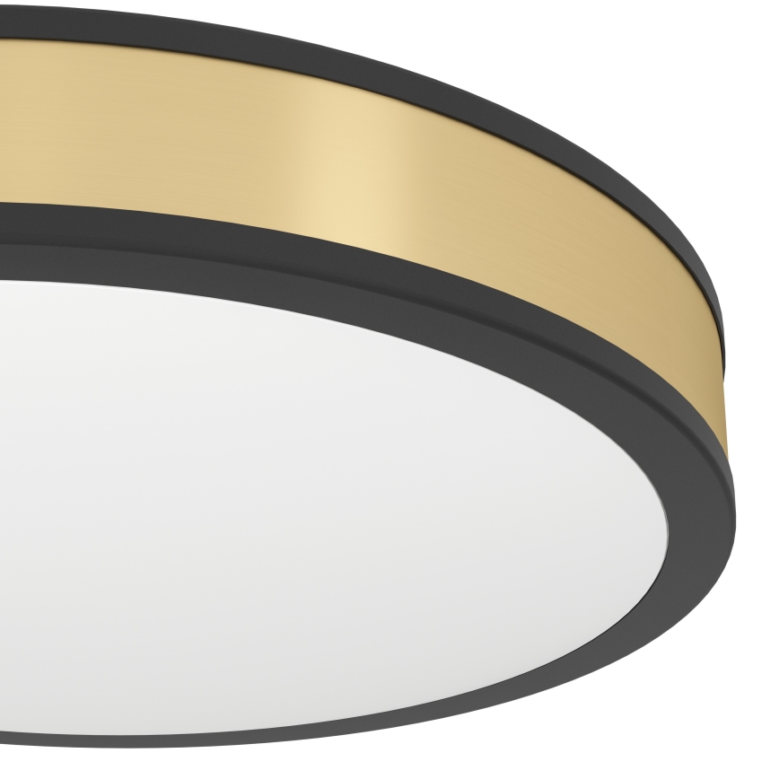 Eglo - LED plafonsko svetlo LED/24W/230V