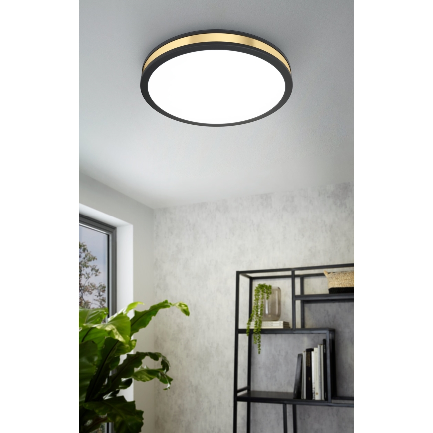 Eglo - LED plafonsko svetlo LED/24W/230V