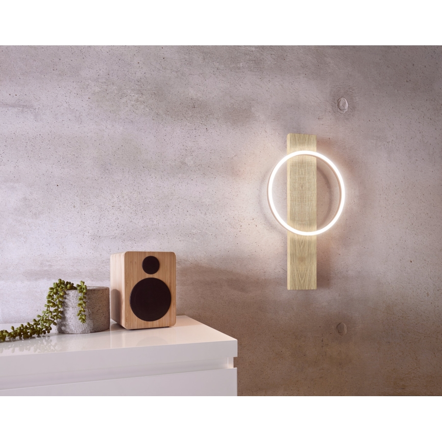 Eglo - LED zidno svetlo LED/12W/230V