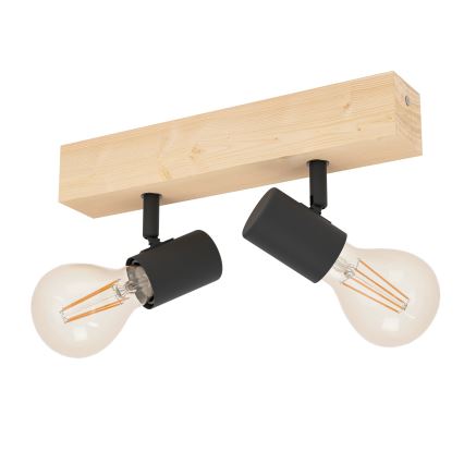 Eglo - Spot svetlo TOWNSHEND 2xE27/60W/230V