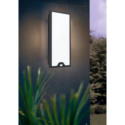 Eglo - LED spoljno zidno svetlo sa senzorom  LED/16W/230V IP44